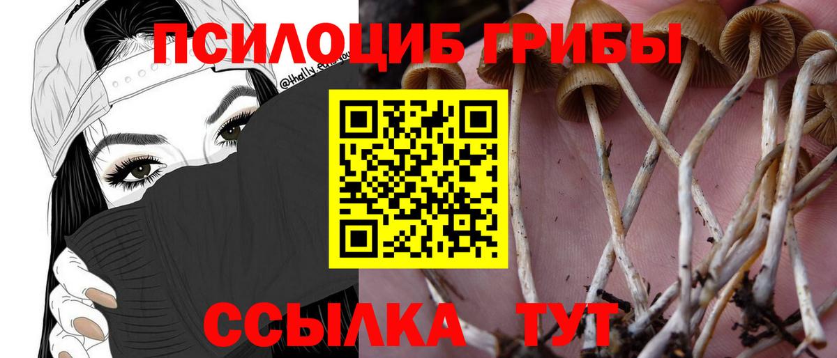 Люберцы  Галлюциногенные грибы GOLDEN TEACHER  Вход с VPN 
